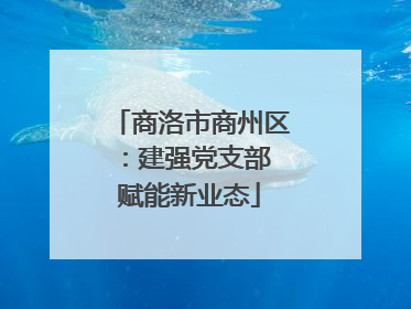商洛市商州区：建强党支部 赋能新业态
